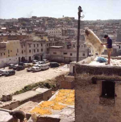 Zdjęcie: maroko, fez